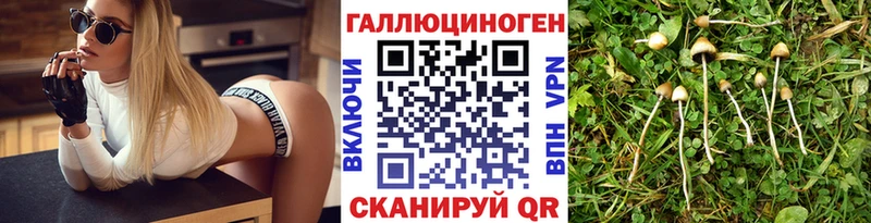продажа наркотиков  Домодедово  Галлюциногенные грибы прущие грибы 